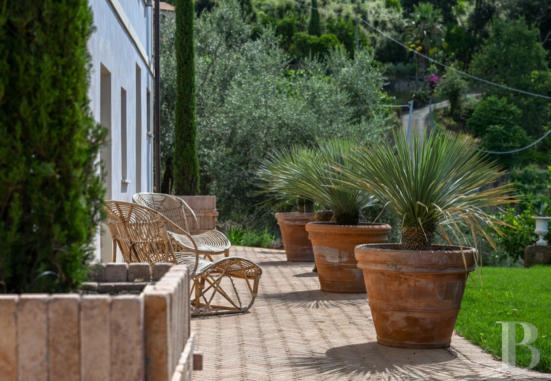 En Toscane, près de Pietrasanta, sur la côte méditerranéenne,  une maison sur les hauteurs au milieu de son oliveraie - photo  n°19