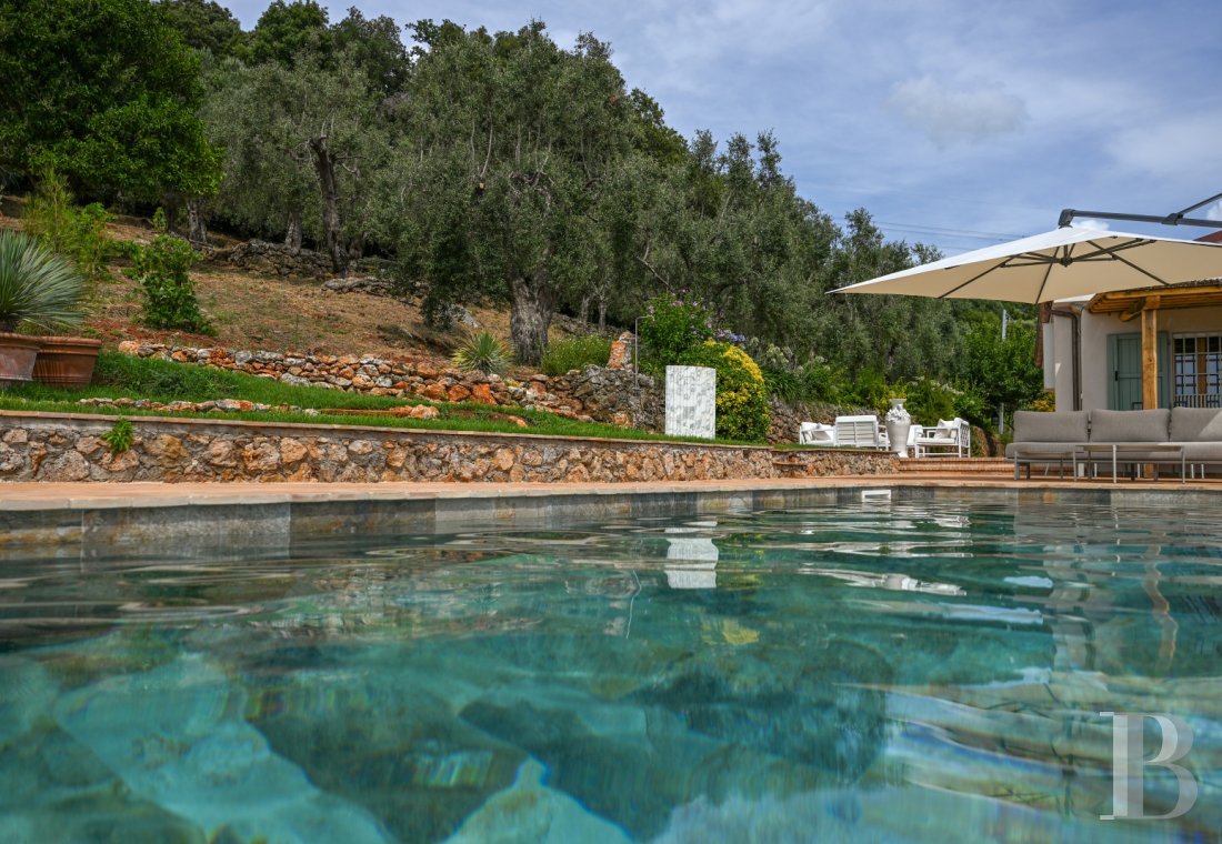 En Toscane, près de Pietrasanta, sur la côte méditerranéenne,  une maison sur les hauteurs au milieu de son oliveraie - photo  n°25