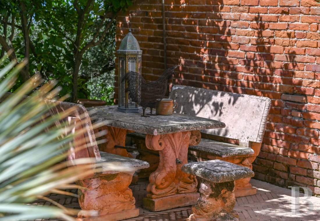 En Toscane, près de Pietrasanta, sur la côte méditerranéenne,  une maison sur les hauteurs au milieu de son oliveraie - photo  n°27