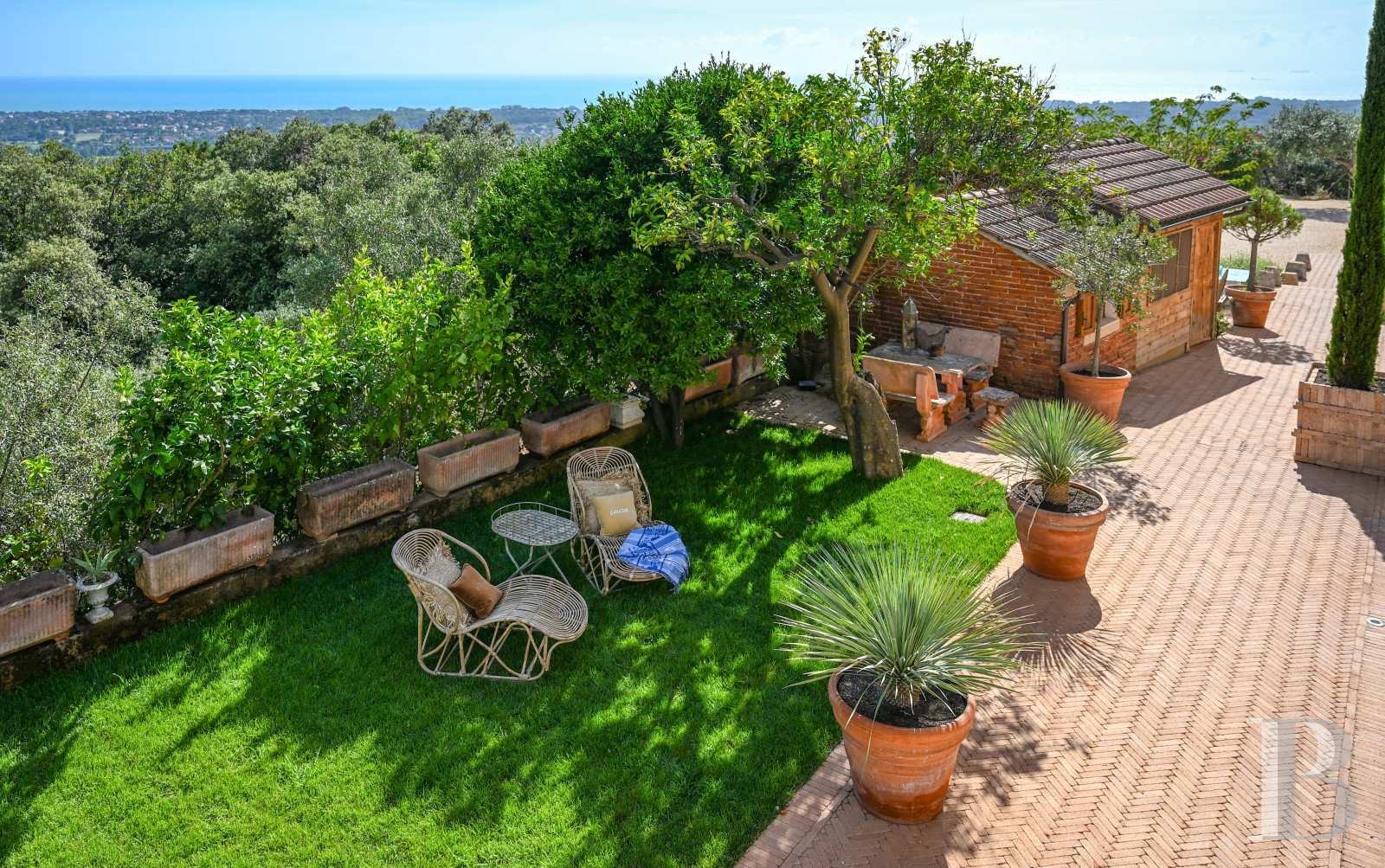 En Toscane, près de Pietrasanta, sur la côte méditerranéenne,  une maison sur les hauteurs au milieu de son oliveraie - photo  n°28