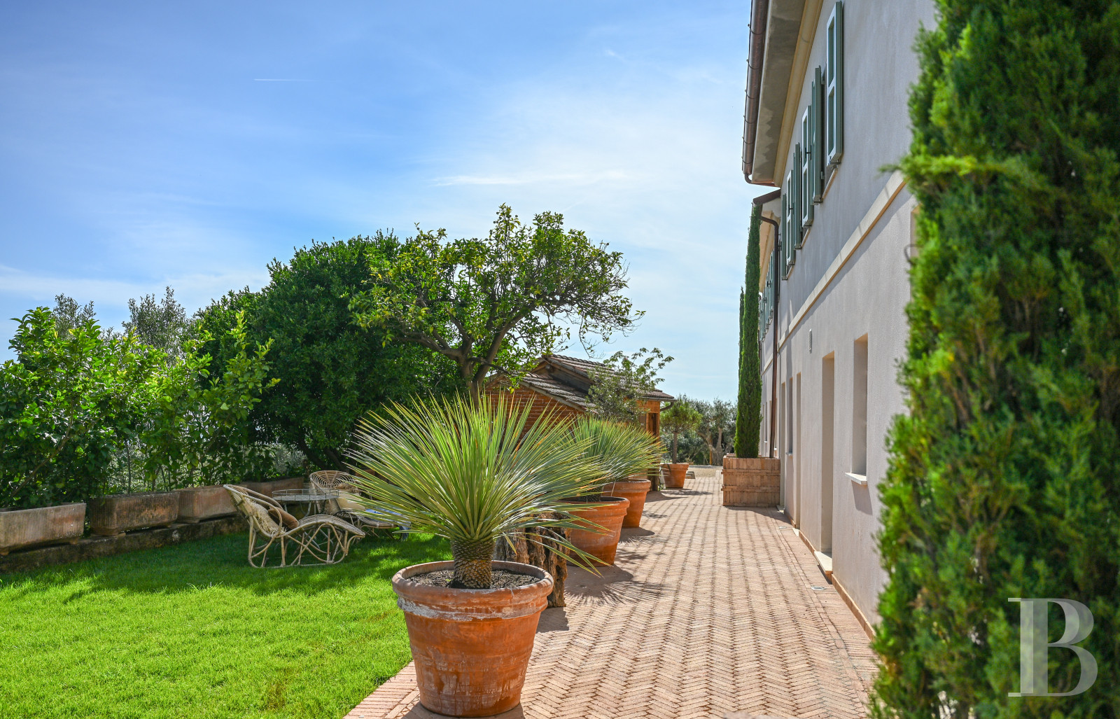 En Toscane, près de Pietrasanta, sur la côte méditerranéenne,  une maison sur les hauteurs au milieu de son oliveraie - photo  n°12