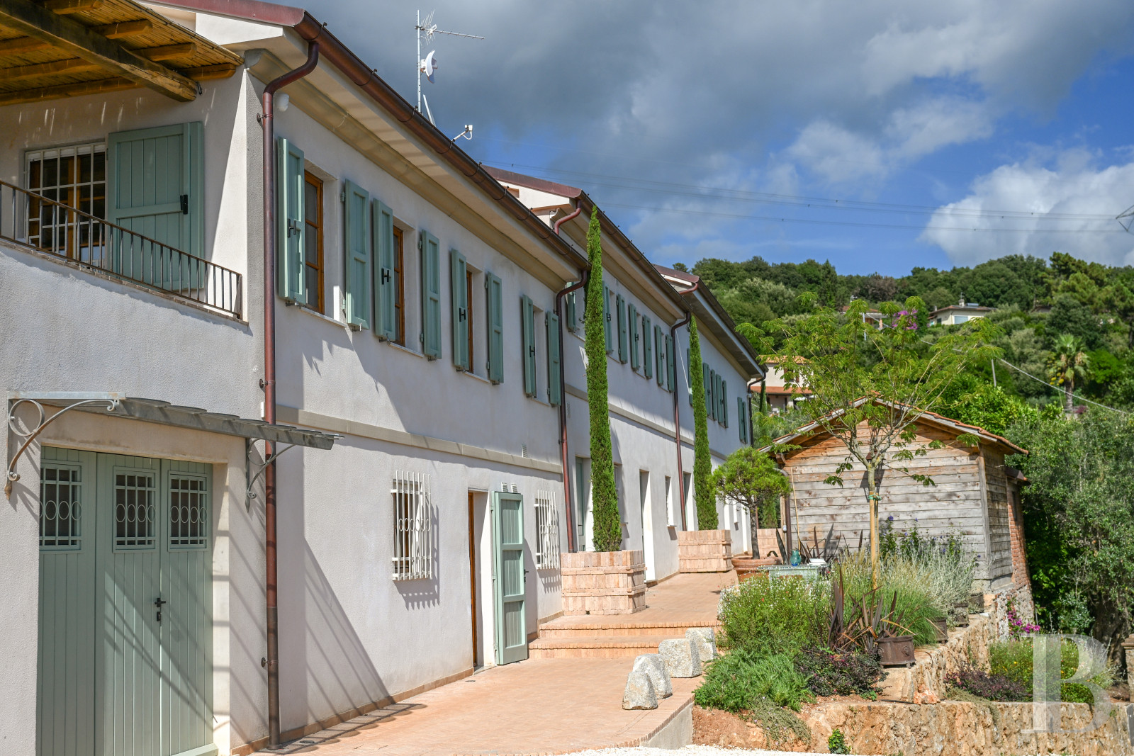 En Toscane, près de Pietrasanta, sur la côte méditerranéenne,  une maison sur les hauteurs au milieu de son oliveraie - photo  n°26