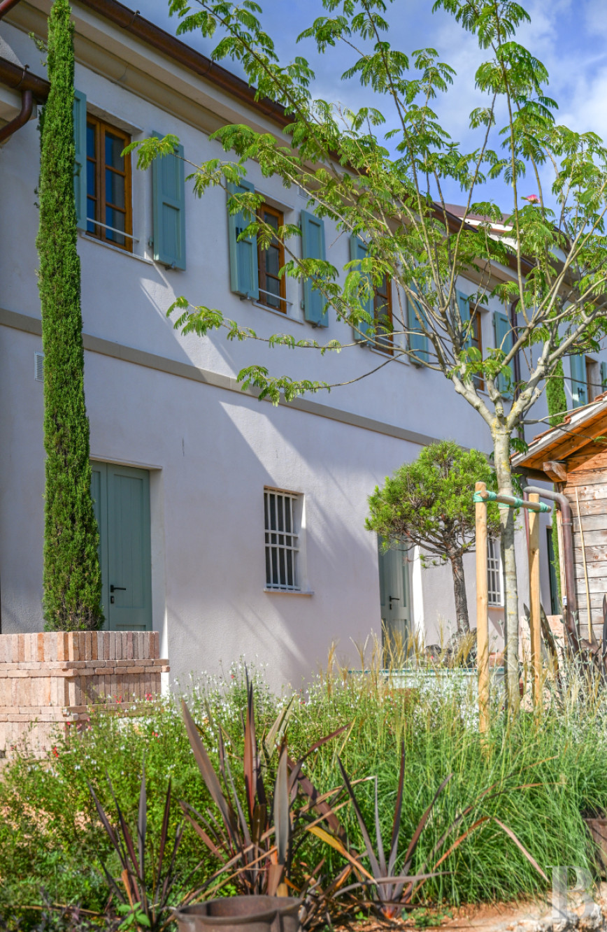 En Toscane, près de Pietrasanta, sur la côte méditerranéenne,  une maison sur les hauteurs au milieu de son oliveraie - photo  n°4