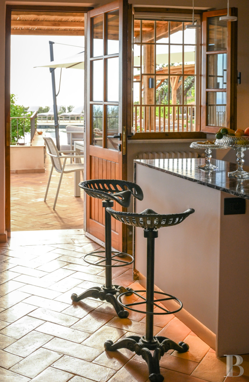 En Toscane, près de Pietrasanta, sur la côte méditerranéenne,  une maison sur les hauteurs au milieu de son oliveraie - photo  n°8