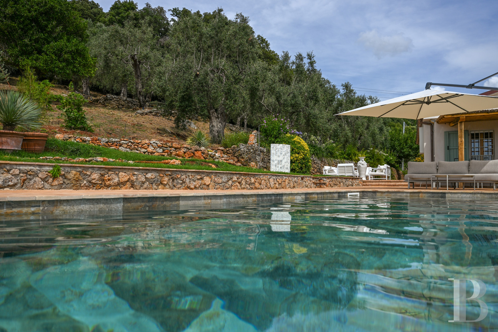 En Toscane, près de Pietrasanta, sur la côte méditerranéenne,  une maison sur les hauteurs au milieu de son oliveraie - photo  n°25