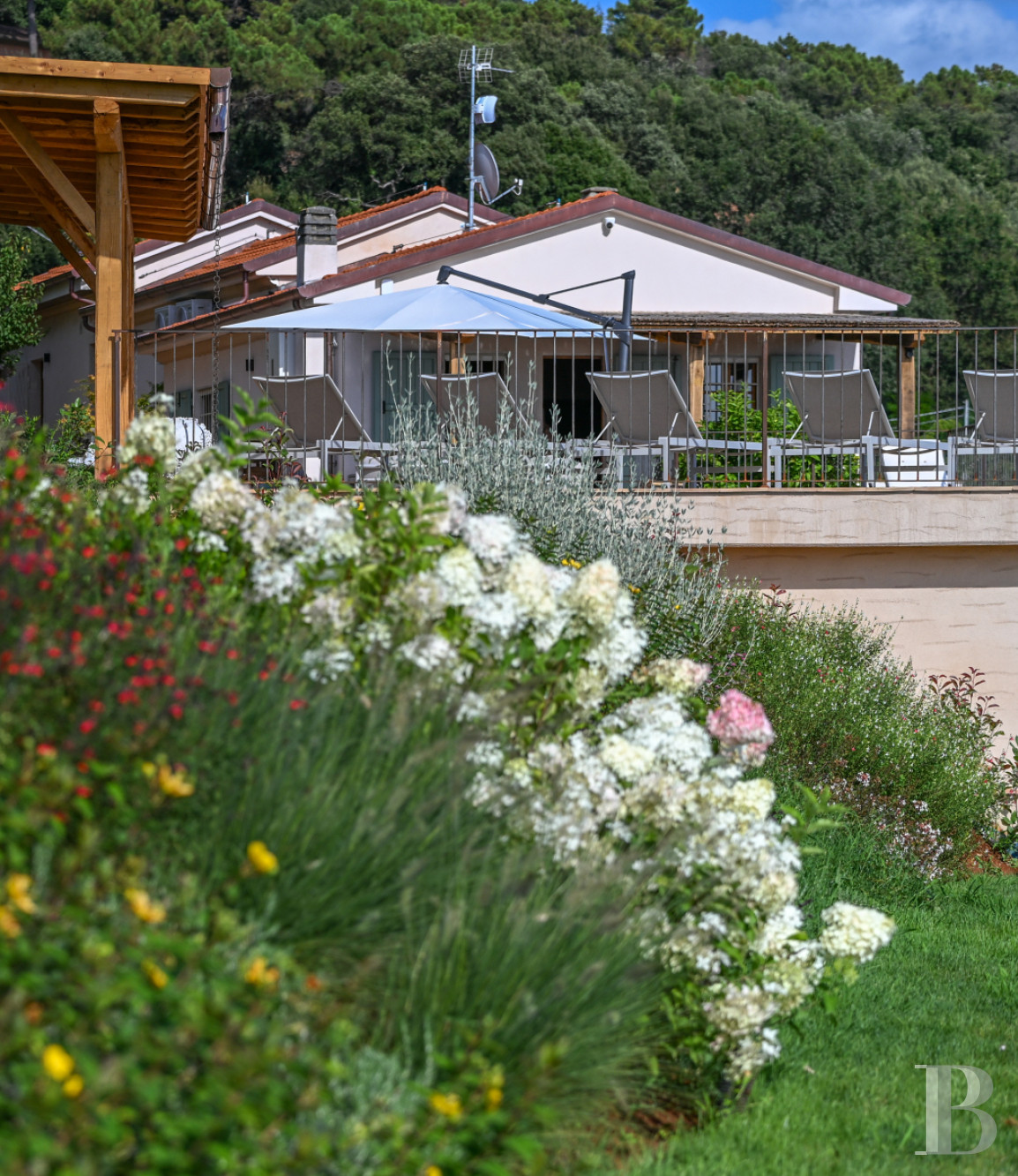 En Toscane, près de Pietrasanta, sur la côte méditerranéenne,  une maison sur les hauteurs au milieu de son oliveraie - photo  n°23