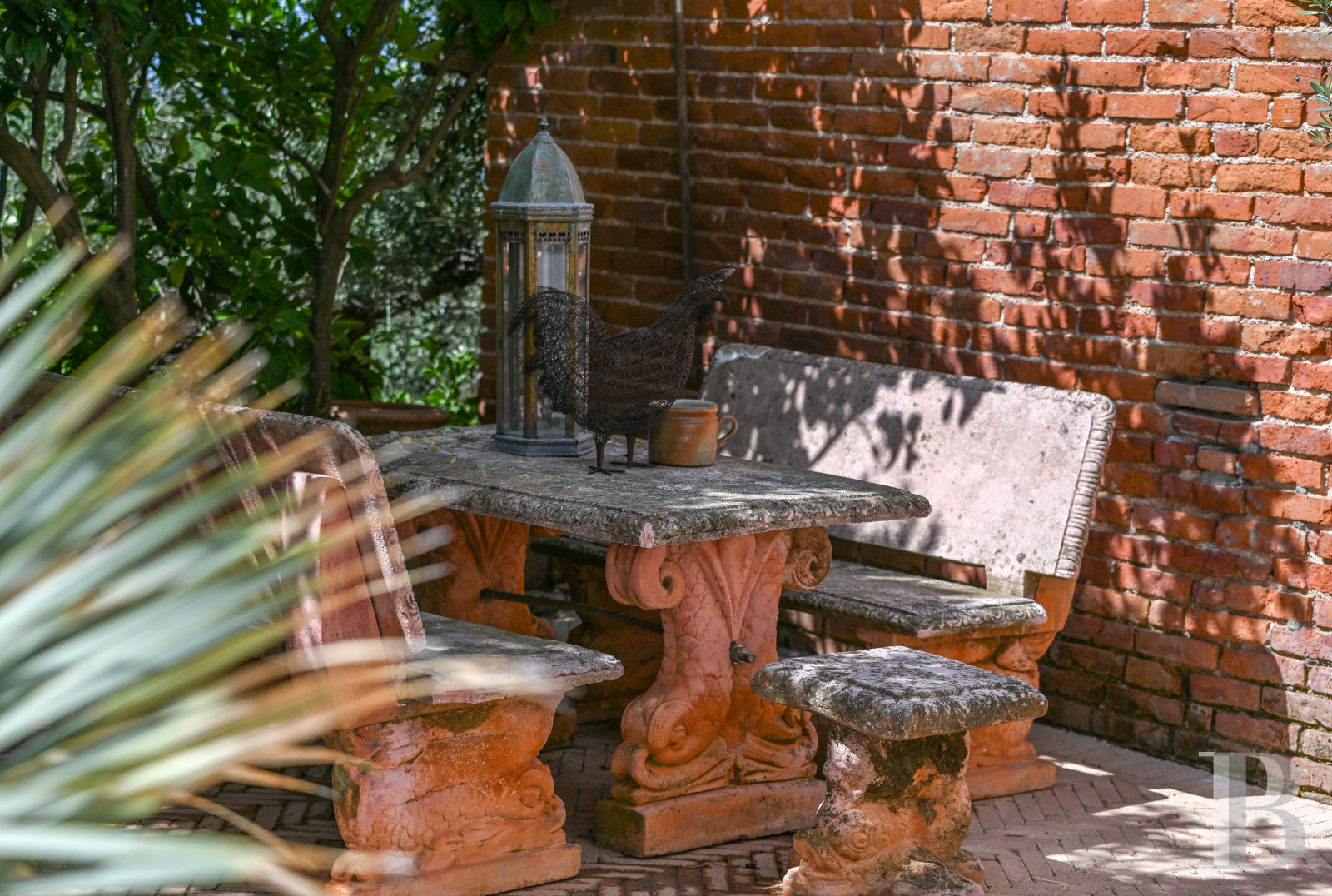 En Toscane, près de Pietrasanta, sur la côte méditerranéenne,  une maison sur les hauteurs au milieu de son oliveraie - photo  n°27