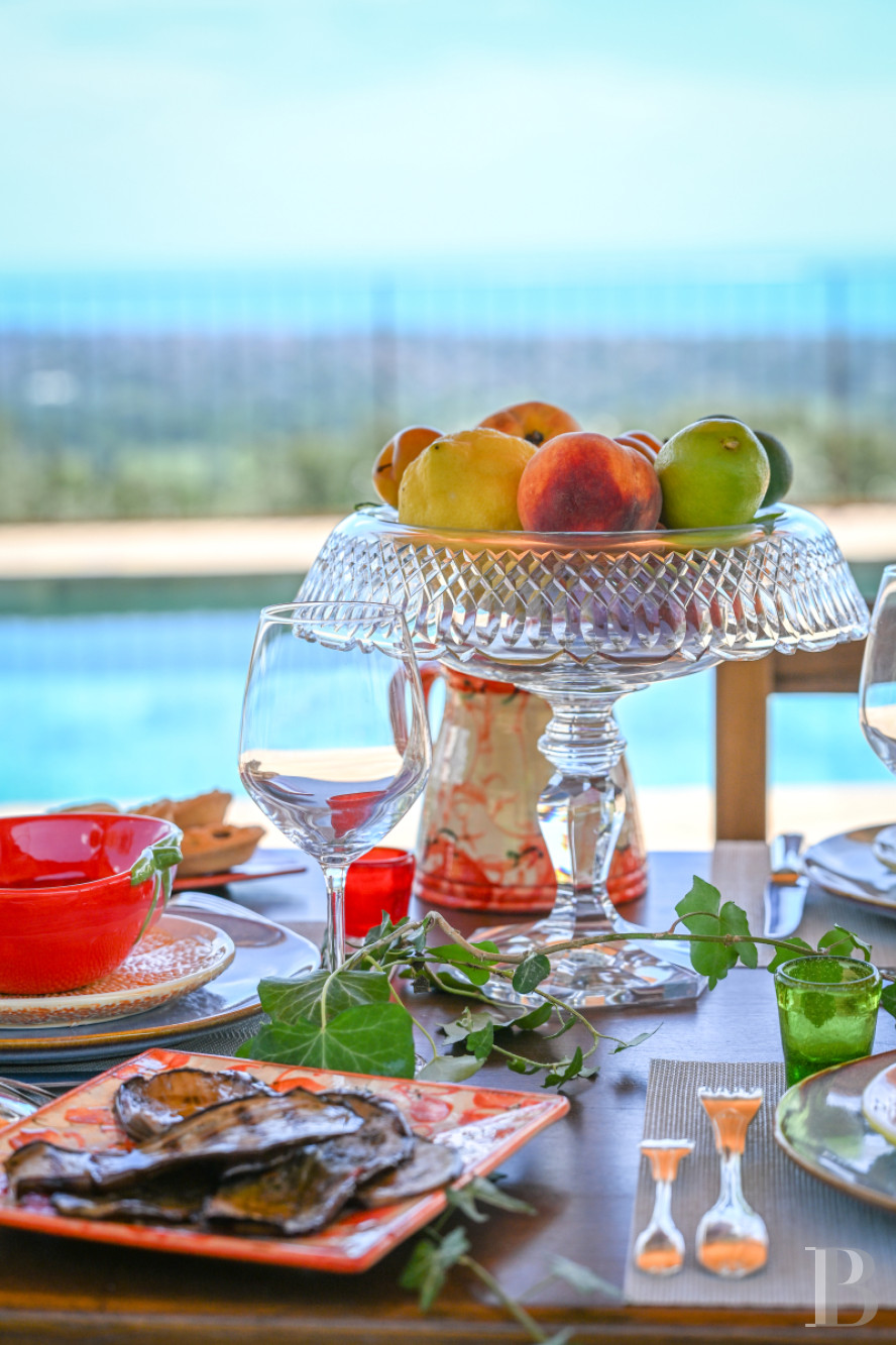 En Toscane, près de Pietrasanta, sur la côte méditerranéenne,  une maison sur les hauteurs au milieu de son oliveraie - photo  n°7