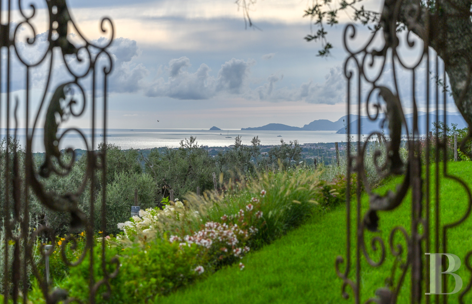 En Toscane, près de Pietrasanta, sur la côte méditerranéenne,  une maison sur les hauteurs au milieu de son oliveraie - photo  n°3