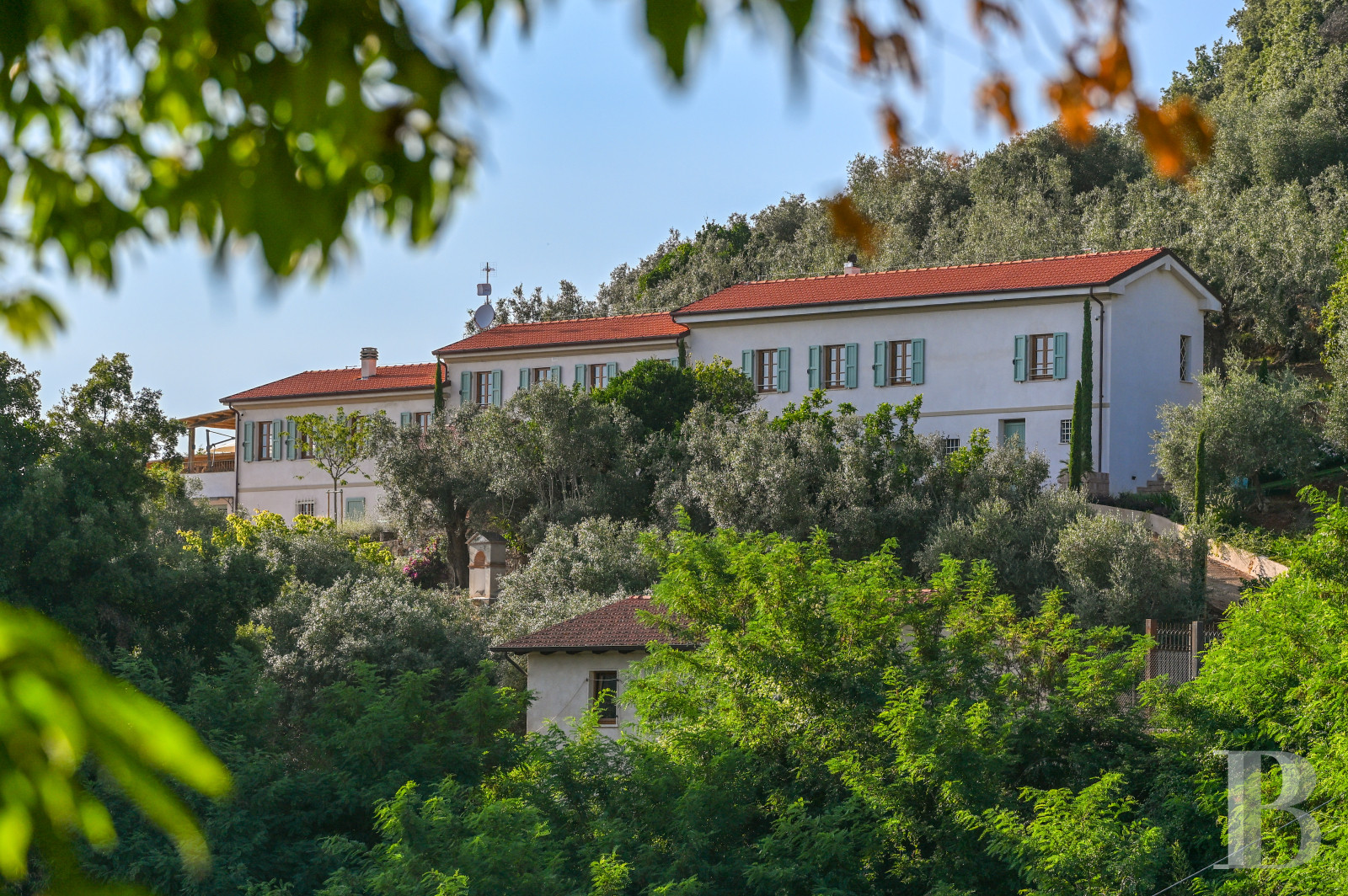 En Toscane, près de Pietrasanta, sur la côte méditerranéenne,  une maison sur les hauteurs au milieu de son oliveraie - photo  n°1