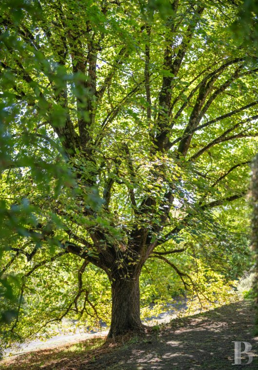 character properties France midi pyrenees   - 20