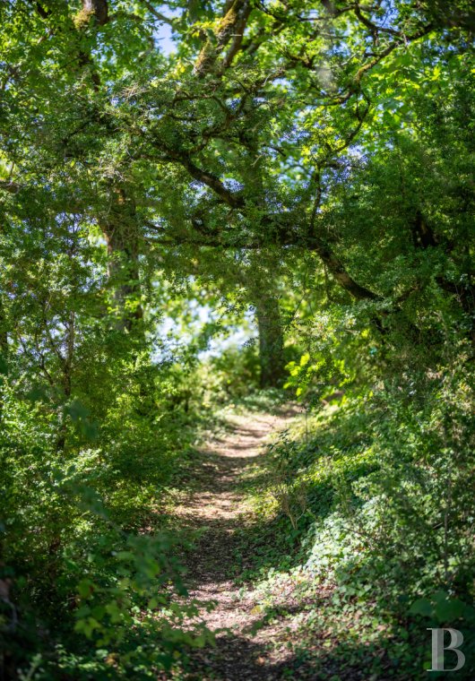 character properties France midi pyrenees   - 16