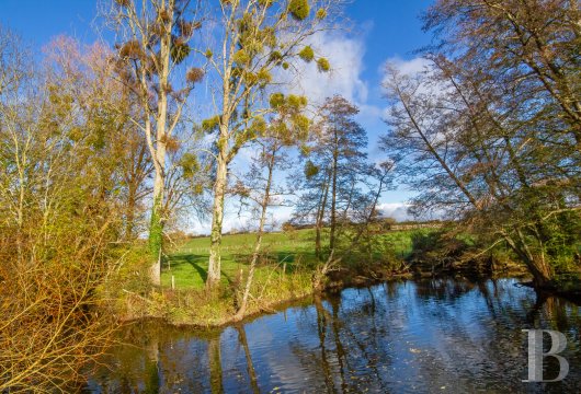 mills for sale France pays de loire   - 15