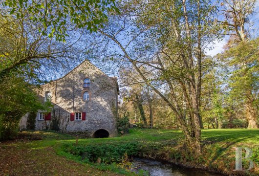 mills for sale France pays de loire   - 4