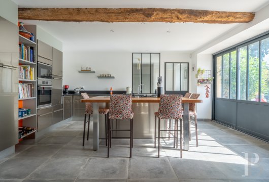 France mansions for sale poitou charentes   - 10