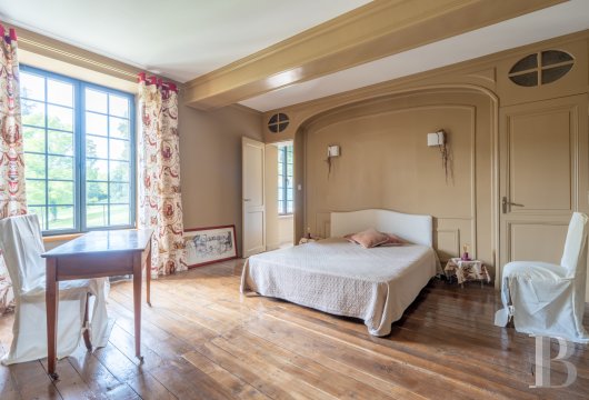 France mansions for sale poitou charentes   - 12