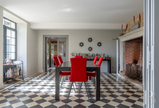 France mansions for sale poitou charentes   - 9