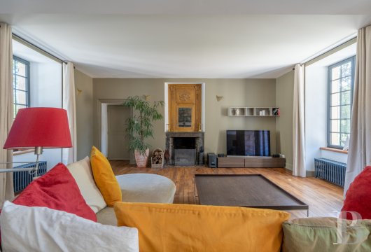 France mansions for sale poitou charentes   - 5