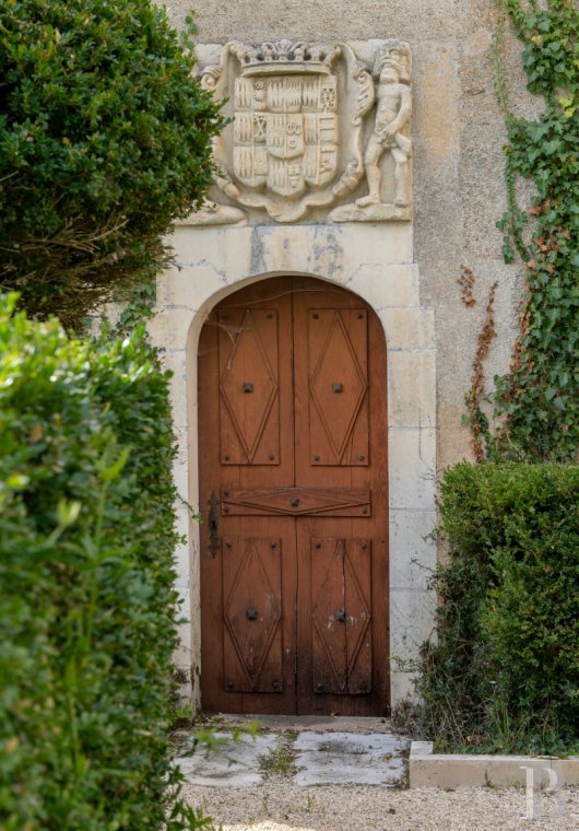 France mansions for sale poitou charentes   - 4