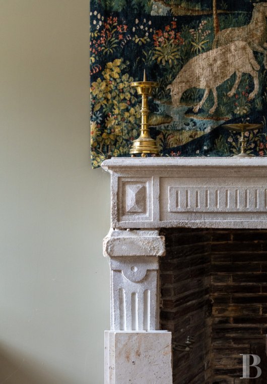 France mansions for sale poitou charentes   - 7