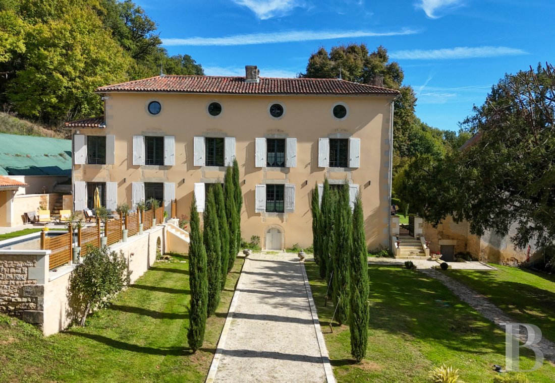France mansions for sale poitou charentes   - 2