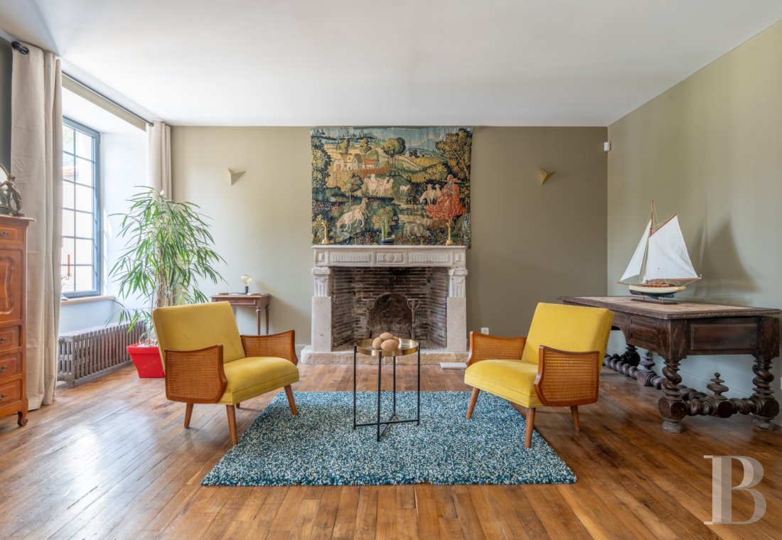 France mansions for sale poitou charentes   - 6