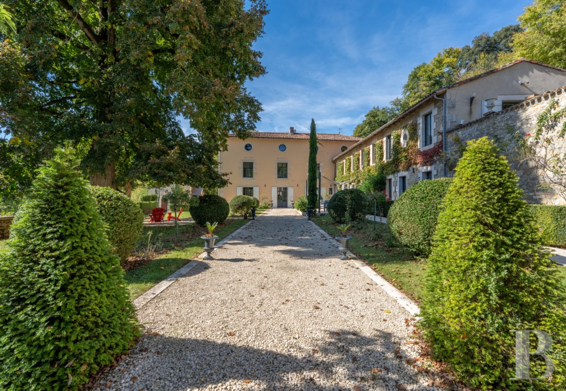 France mansions for sale poitou charentes   - 1