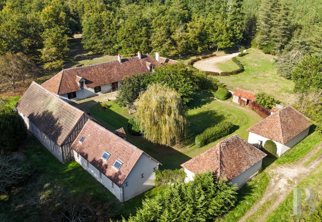 Farms for sale - center-val-de-loire - En Sologne, une propriété d'agrément avec une chasse de 30 ha, composée de plusieurs maisons d'habitation, de dépendances, de landes et de bois