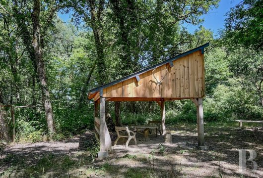 immobilier chateaux pays de loire   - 8