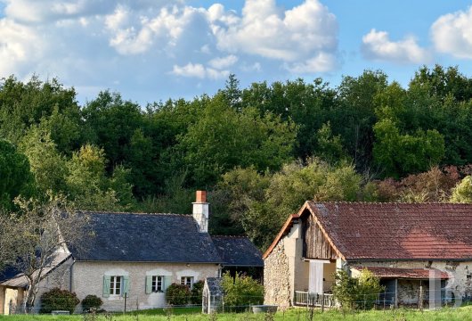 immobilier chateaux pays de loire   - 3