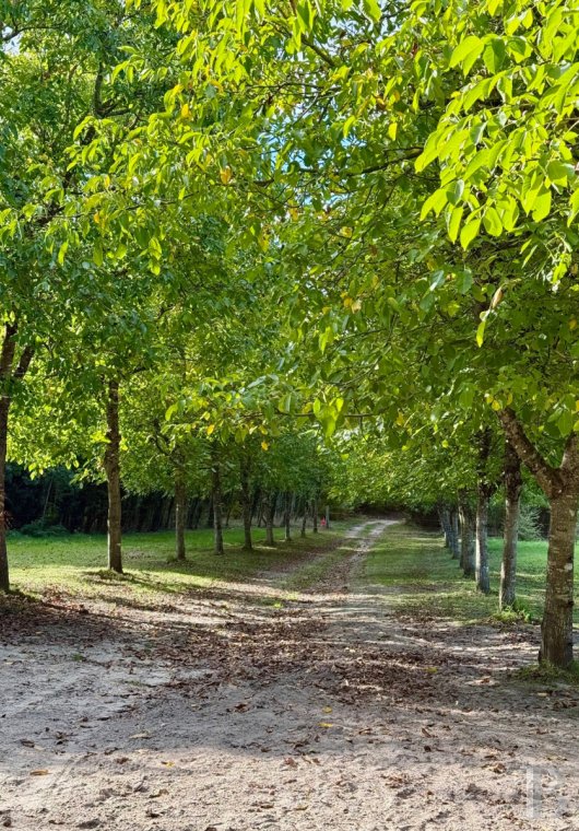 immobilier chateaux pays de loire   - 4