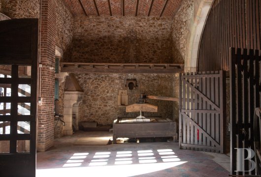 chateaux for sale France pays de loire   - 18