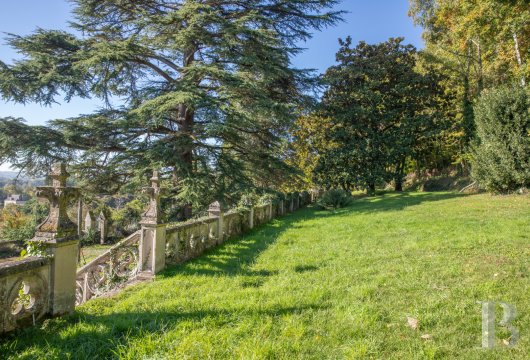 chateaux for sale France pays de loire   - 21