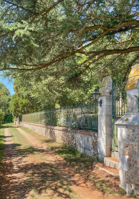 chateaux for sale France pays de loire   - 19