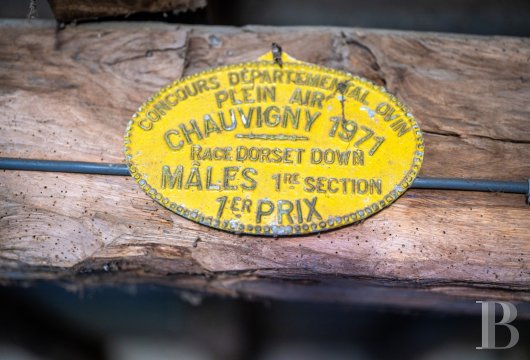 property for sale France limousin   - 12