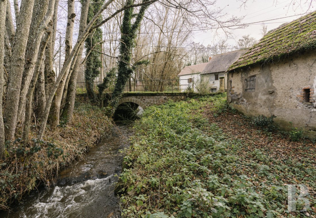 mills for sale France auvergne   - 16