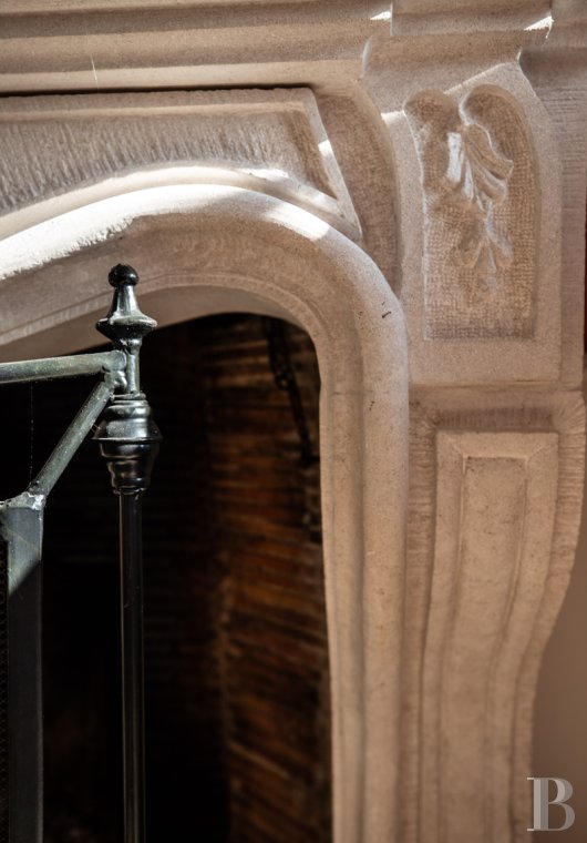 maisons de caractere a vendre pays de loire   - 10