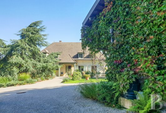 burgundy - A house from the 1990s with a barn, a guesthouse, a swimming pool and a tree-dotted garden, nestled in a calm, leafy, prized neighbourhood near Dijon city centre, Burgundy
