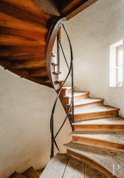 chateaux for sale France rhones alps   - 6