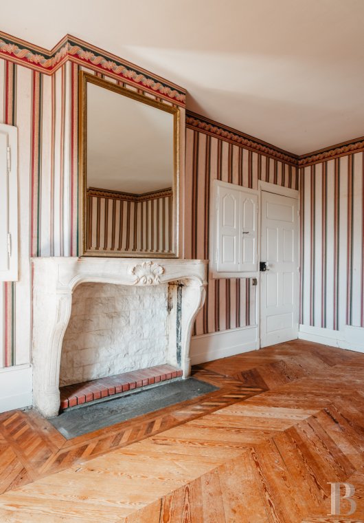 chateaux for sale France rhones alps   - 12