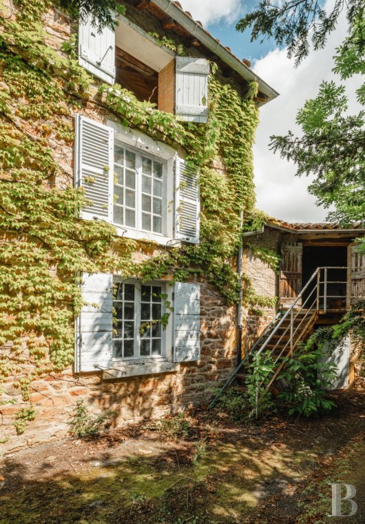 chateaux for sale France rhones alps   - 14