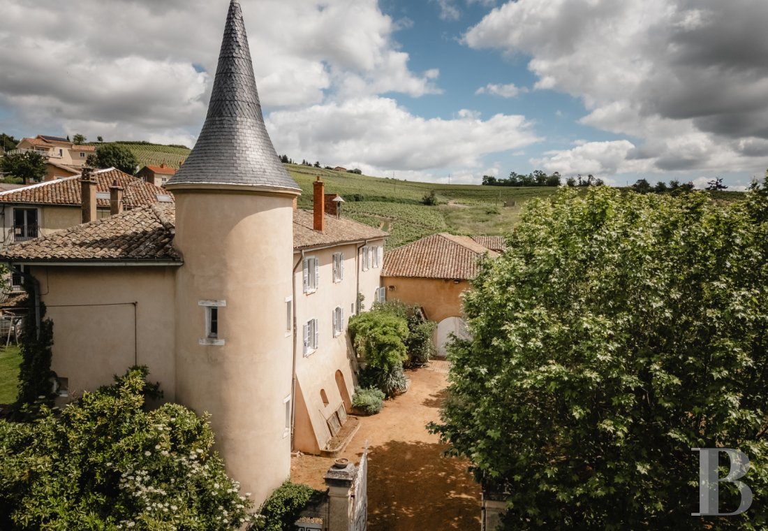 chateaux for sale France rhones alps   - 2