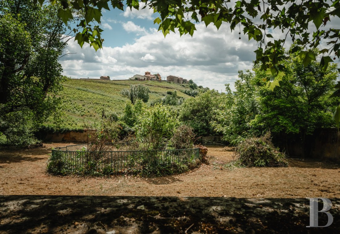chateaux for sale France rhones alps   - 18