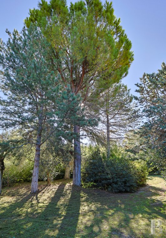 character properties France provence cote dazur   - 13
