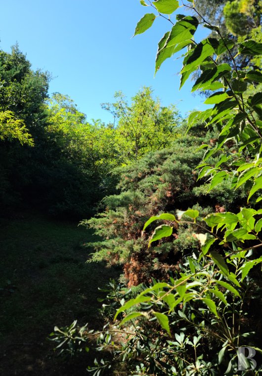 character properties France provence cote dazur   - 14