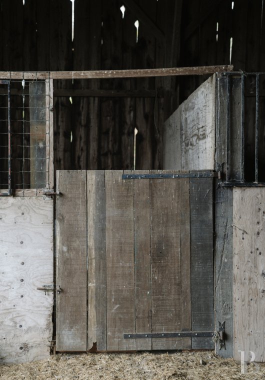 character properties France burgundy   - 13