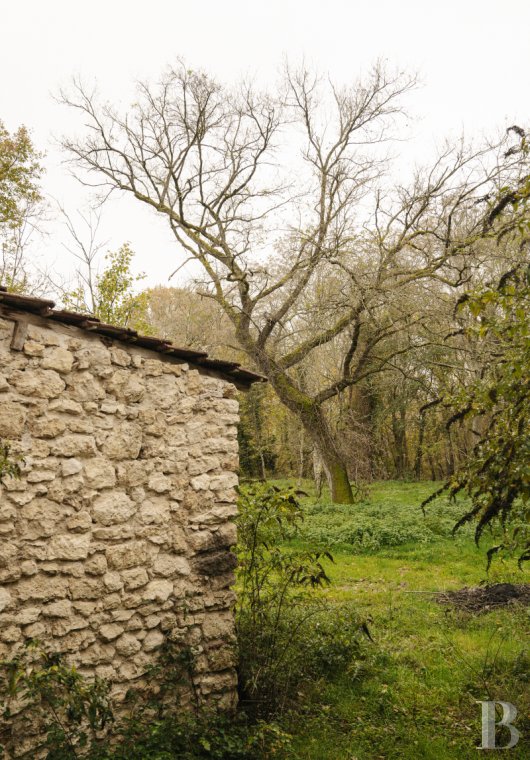 character properties France burgundy   - 16