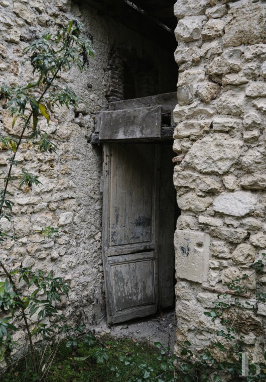 character properties France burgundy   - 10