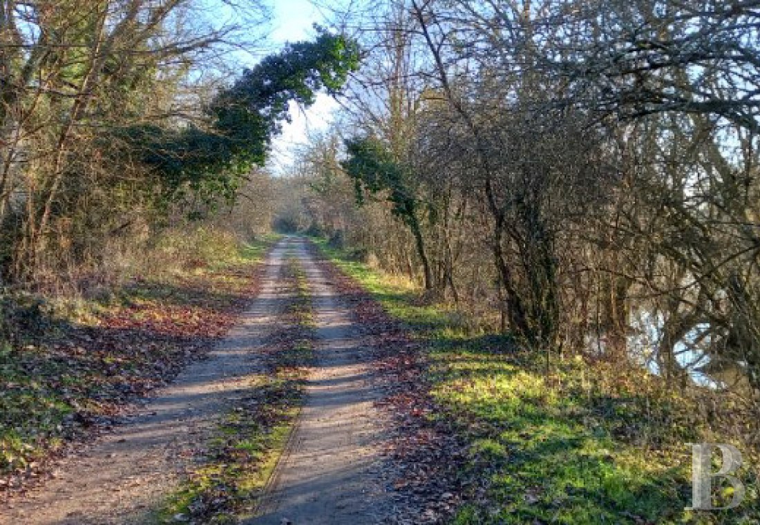 character properties France burgundy   - 18