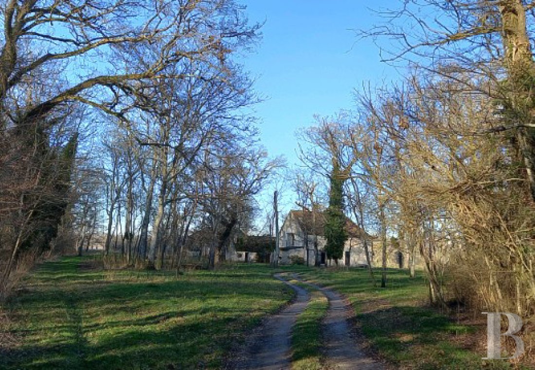 character properties France burgundy   - 12